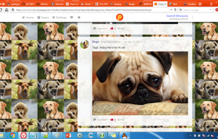 Profile page, with custom background feature.