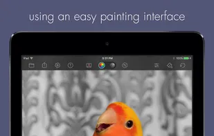 Color Splash screenshot 2