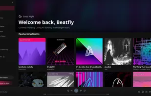Beatfly Player home page.