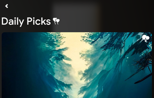 Indulge in the daily dose