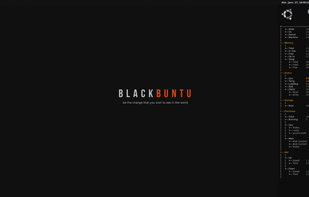 BlackBuntu screenshot 1