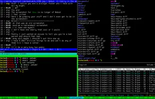 tmux screenshot 2