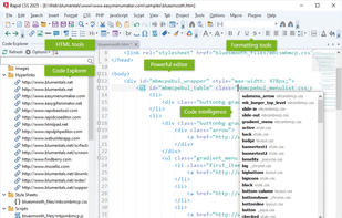 Rapid CSS Editor screenshot 2
