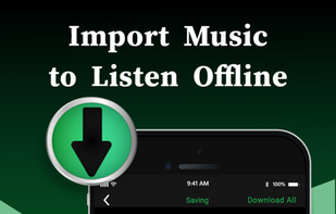 Offline Music Player screenshot 3
