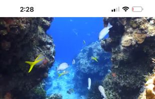 BluePlayer screenshot 1