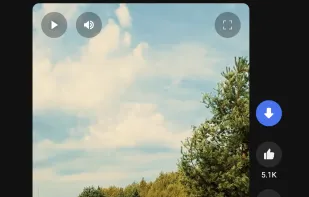 Tubly Downloader screenshot 3