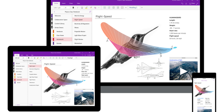 microsoft-office-version-of-onenote-being-phased-out-alternativeto