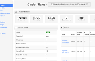 Cluster status