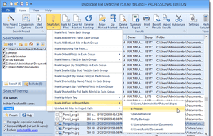 Duplicate File Detective screenshot 1