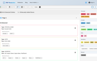 List of AI Detected PII