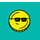 DataWallet icon