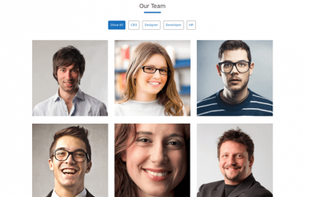 Probit WordPress Theme screenshot 1