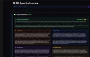 Holistic risk analysis 
