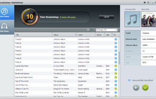 Wondershare TidyMyMusic screenshot 1