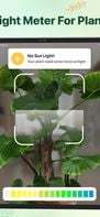 Plant identifier - Find Insect screenshot 3