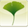 Ginkgo CADx icon