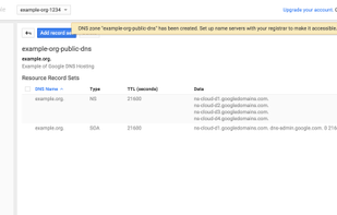 Google Cloud DNS screenshot 1
