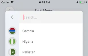 ACE Money Transfer screenshot 3