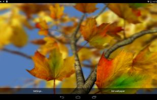 Autumn Leaves in HD Gyro 3D screenshot 3