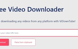 ViDownTube screenshot 1