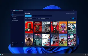 Intel® Graphics Software screenshot 1