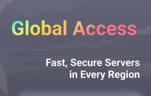 Bear VPN screenshot 3