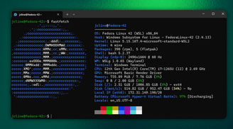 Fedora 42 now officially supported on Windows Subsystem for Linux (WSL) image