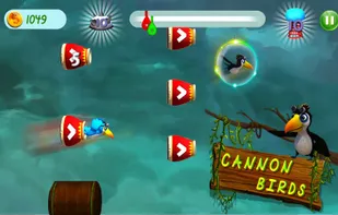 Cannon Birds screenshot 1