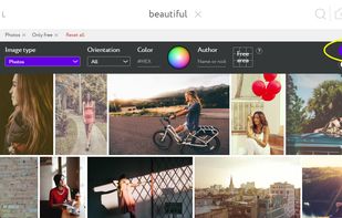 Search filters