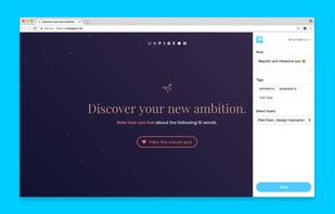Extension from Chrome Store