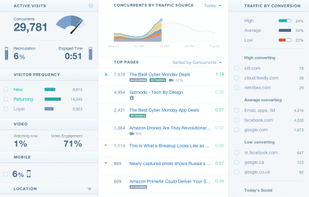 Chartbeat screenshot 1