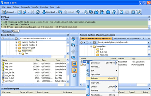 WISE-FTP screenshot 1