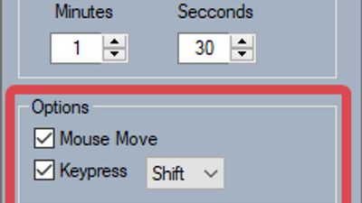 The mouse will automatically wiggle up and down.
The selected key will automatically trigger.
Pick your key, Shift or F13 to F24.