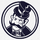 SkinBaron icon