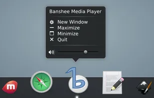 Banshee Application Controls