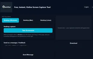 One page web for user to capture screen from browser directly