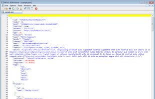 Raw JSON view