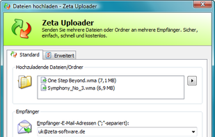 Main window of the Window client