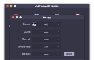 AudFree Audio Capture for Windows screenshot 2