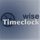 WiseTimeclock.com icon