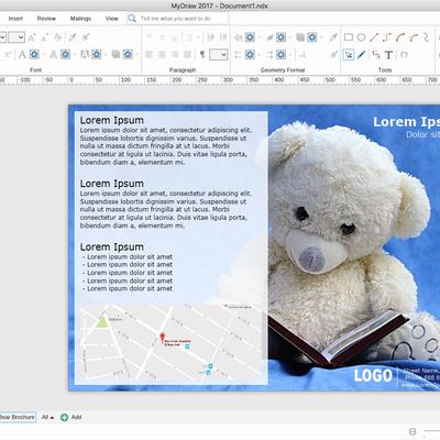 MyDraw Flyers and Certificates Brochure Teddy Bear Brochure