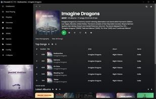 Sonixd screenshot 1