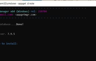 Windows Download File Manager screenshot 1
