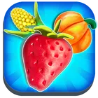 Magic Clay Crush : Fruits Jam icon