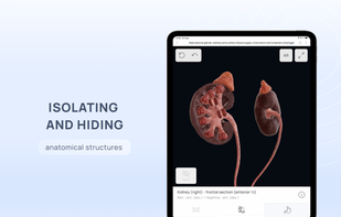VOKA Anatomy Pro screenshot 1