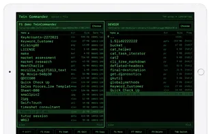 Twin Commander screenshot 1