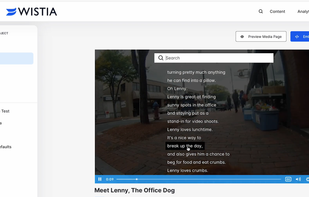 Wistia screenshot 1