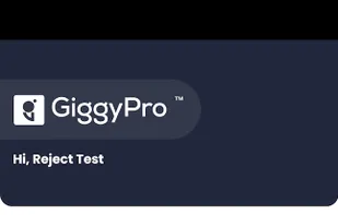 GiggyPro screenshot 3