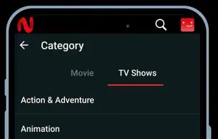 NetMirror screenshot 3