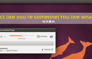 OSD Lyrics screenshot 3